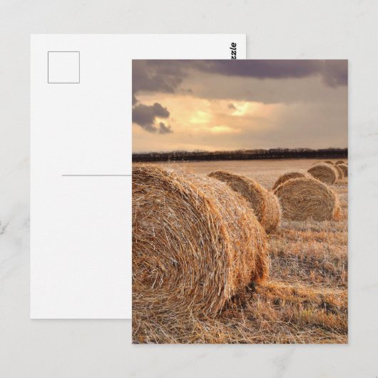 Briefkaart strobalen (Voorkant / Achterkant)