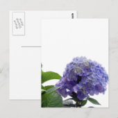 Briefkaart Struik (Voorkant / Achterkant)