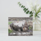 Briefkaart Sulking Rhino (Staand voorkant)