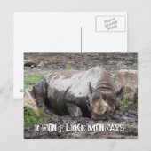 Briefkaart Sulking Rhino (Voorkant / Achterkant)