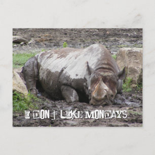 Briefkaart Sulking Rhino