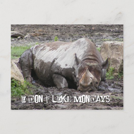 Briefkaart Sulking Rhino (Voorkant)