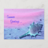 Briefkaart Summer Shell (Voorkant)