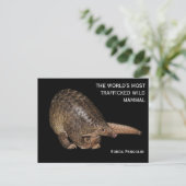 Briefkaart Sunda Pangolin (Staand voorkant)