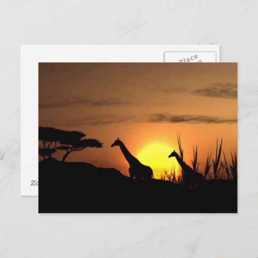 briefkaart "Sunset Giraffe Silhouette" (Voorkant / Achterkant)