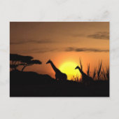 briefkaart "Sunset Giraffe Silhouette" (Voorkant)