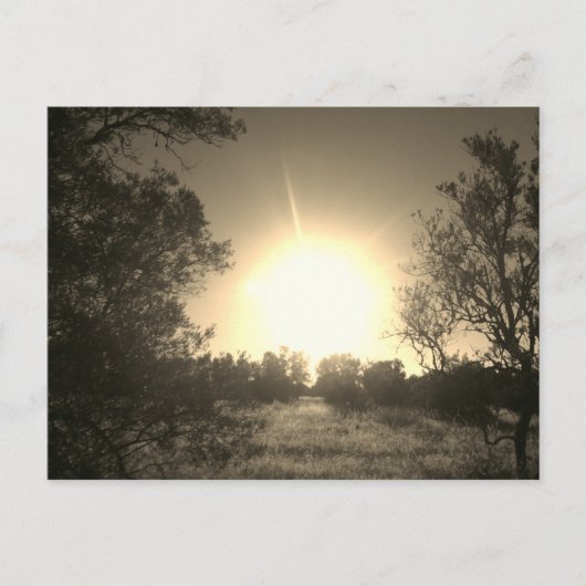 BRIEFKAART SUNSHINE ECO STYLE DESIGN (Voorkant)
