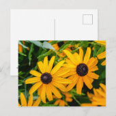 Briefkaart - Susan met zwarte ogen (Voorkant / Achterkant)