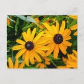 Briefkaart - Susan met zwarte ogen (Voorkant)