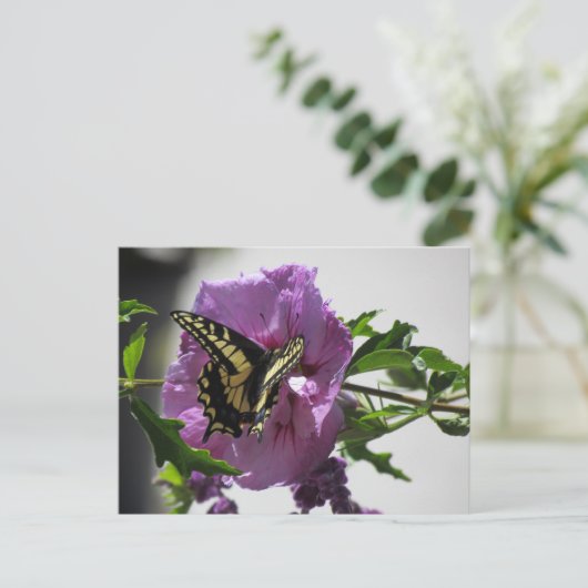 Briefkaart - Swallowtail Butterfly on Blossom (Staand voorkant)