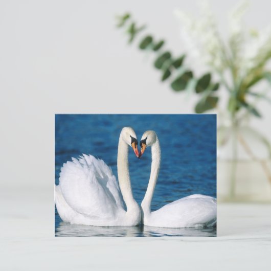 Briefkaart Swan (Staand voorkant)
