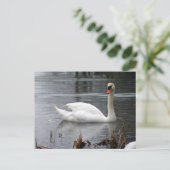 Briefkaart Swan (Staand voorkant)