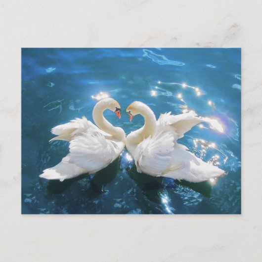 Briefkaart Swan (Voorkant)