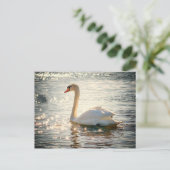 Briefkaart Swan (Staand voorkant)