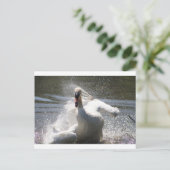 Briefkaart Swan (Staand voorkant)