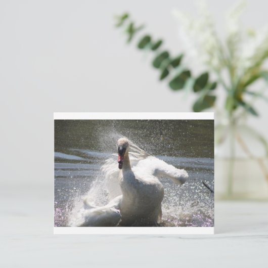 Briefkaart Swan (Staand voorkant)