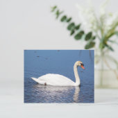 Briefkaart Swan (Staand voorkant)
