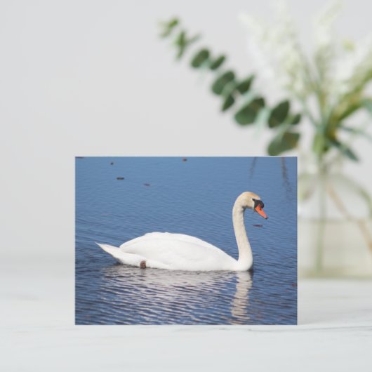 Briefkaart Swan (Staand voorkant)
