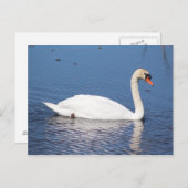 Briefkaart Swan (Voorkant / Achterkant)