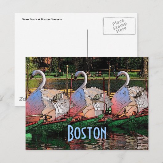 Briefkaart Swan Boats (Voorkant / Achterkant)