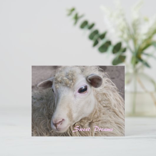 Briefkaart Sweet Dreams (Staand voorkant)