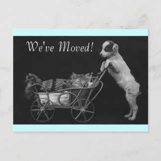 Briefkaart  Sweet Pets We hebben Adres verplaatst
