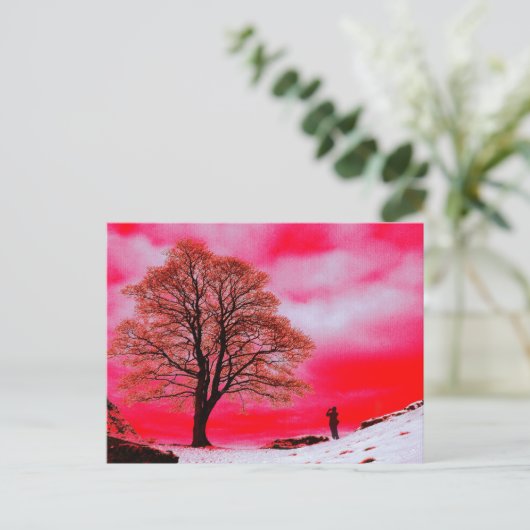 Briefkaart Sycamore Tree (Staand voorkant)