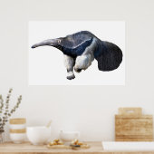 Briefkaart T-Shirt, geïsoleerd reus Anteater Poster (Keuken)