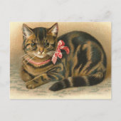 briefkaart "Tabby Cat" (Voorkant)