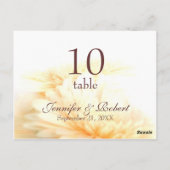 Briefkaart tabelnummer (Achterkant)