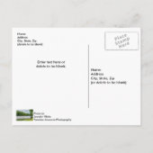 Briefkaart Taneycomo Summer Fog (Achterkant)