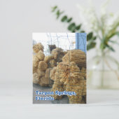 Briefkaart Tarpon Springs Sponges (Staand voorkant)