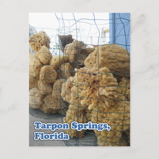 Briefkaart Tarpon Springs Sponges (Voorkant)