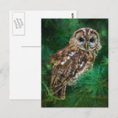Briefkaart tawny owl in een boomstructuur (Voorkant / Achterkant)
