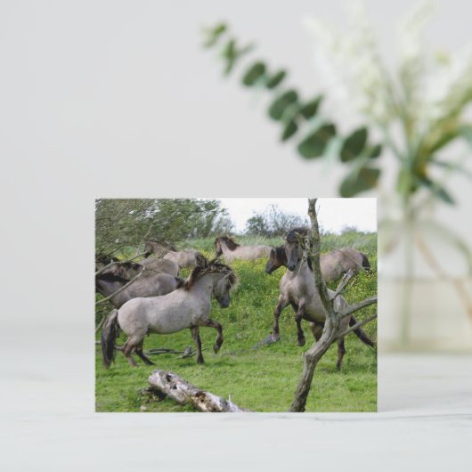 briefkaart tegen hengsten (Staand voorkant)