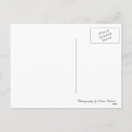 briefkaart tegen valentijn (Achterkant)