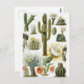  Briefkaart ter illustratie van botanische cactus (Voorkant / Achterkant)