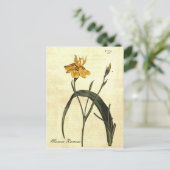 Briefkaart ter illustratie van botanische iris (Staand voorkant)