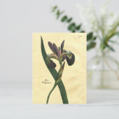 Briefkaart ter illustratie van botanische iris (Staand voorkant)