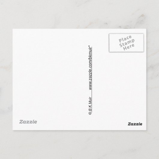 Briefkaart - Tern in flight (Achterkant)