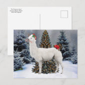 briefkaart "The Kerstllama" (Voorkant / Achterkant)