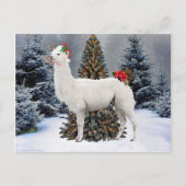 briefkaart "The Kerstllama" (Voorkant)