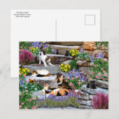 briefkaart "The Rock Garden" (Voorkant / Achterkant)