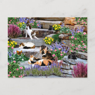 briefkaart "The Rock Garden"