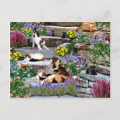 briefkaart "The Rock Garden" (Voorkant)