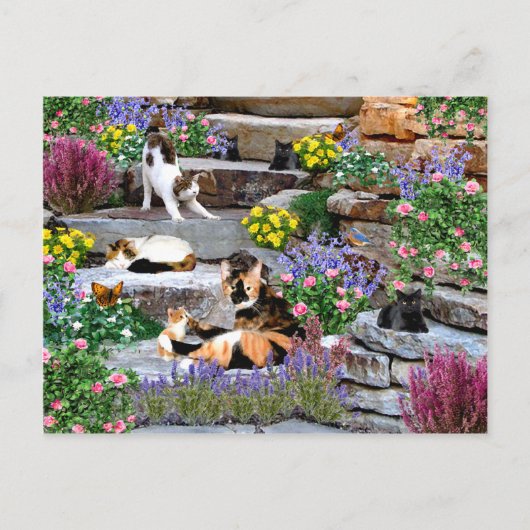 briefkaart "The Rock Garden" (Voorkant)