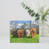 briefkaart "The Woolies" (Staand voorkant)