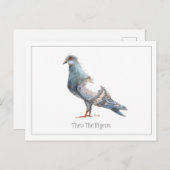 briefkaart "Theo de duif" (Voorkant / Achterkant)