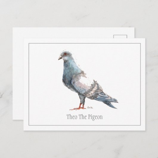 briefkaart "Theo de duif" (Voorkant / Achterkant)