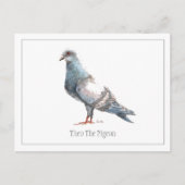 briefkaart "Theo de duif" (Voorkant)